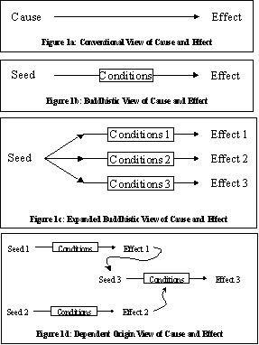Diagram of Cause and Effect